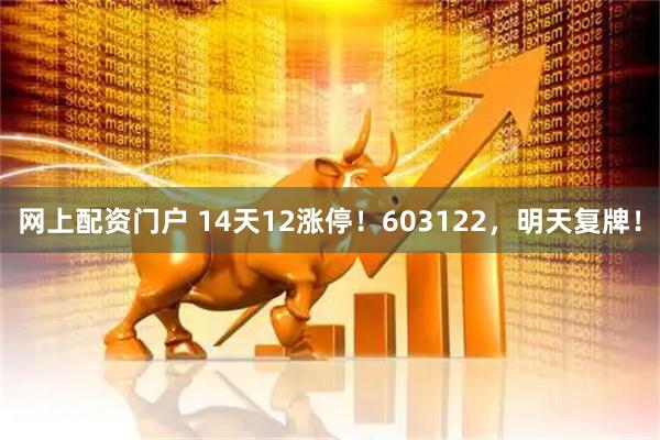网上配资门户 14天12涨停!603122,明天复牌!