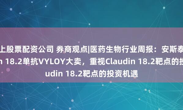 线上股票配资公司 券商观点|医药生物行业周报：安斯泰来Claudin 18.2单抗VYLOY大卖，重视Claudin 18.2靶点的投资机遇